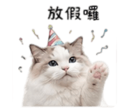 838987146