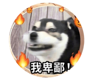 838987186