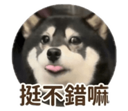 838987187