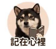 838987206