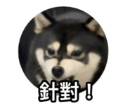 838987207