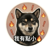 838987209