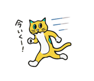838988061