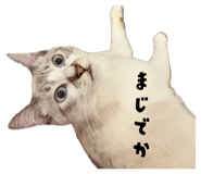838989634