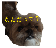 838990130