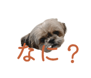 838990131