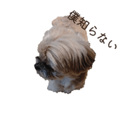 838990133