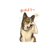 838990401
