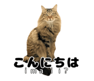 838990842