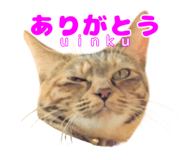 838990844