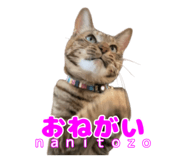 838990846