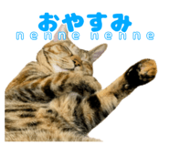 838990851
