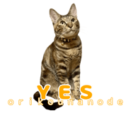 838990856
