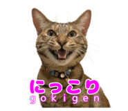 838990858