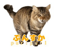 838990861