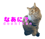 838990865