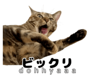 838990868
