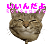 838990869