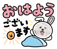 838992038