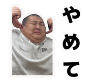 838993376