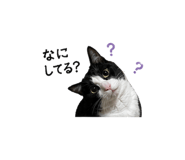 838994312