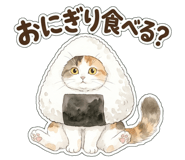 838994443