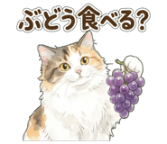 838994451