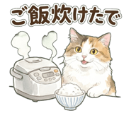 838994455