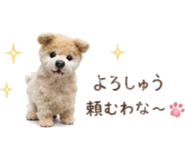 838994457