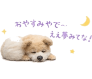 838994466