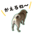 838994474