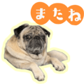 838994478