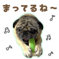 838994479