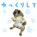 838994481