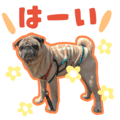 838994487