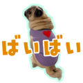 838994493