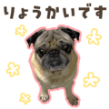 838994495