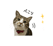 838994835