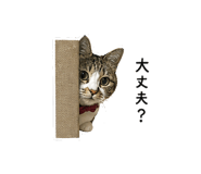 838994842