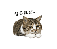 838994845