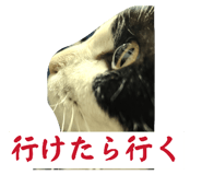 838995309