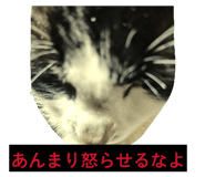 838995314
