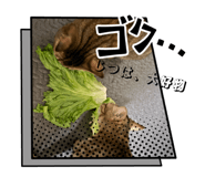 838995708