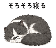 838996169