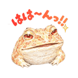 838996468