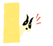 838997204