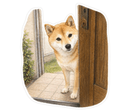 838997682
