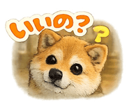 838998440