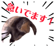 838998460