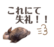 838998464